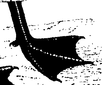 107/107100010201960_0.png