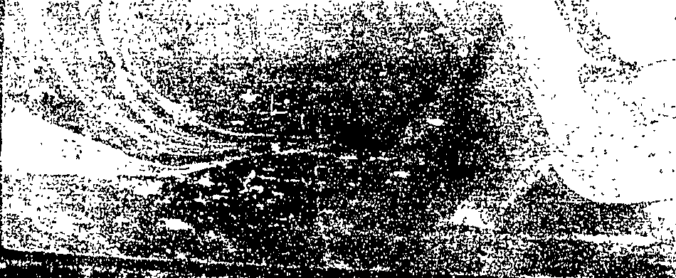 107/107180170000010_1.png