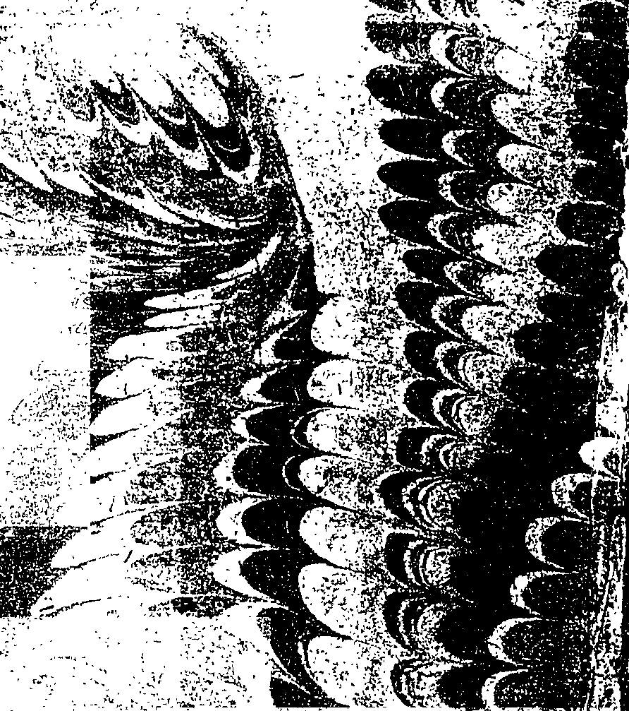 107/107180170000010_2.png