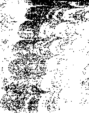 107/107180170000010_3.png