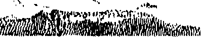 107/107210010204920_0.png