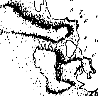 107/107220010301970_0.png