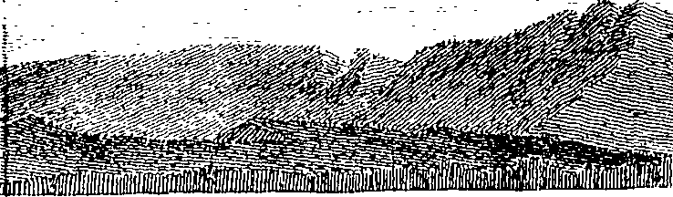 107/107220010303260_0.png