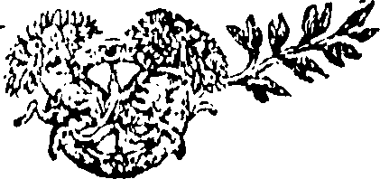 107/107230020001960_0.png