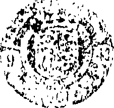 107/107270040000020_0.png