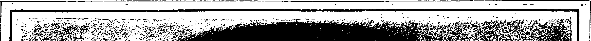 107/107280010200920_0.png