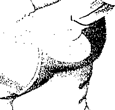 107/107280010301970_1.png