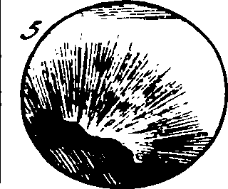 107/107310060001860_2.png