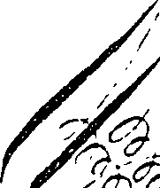 107/107320040000290_5.png