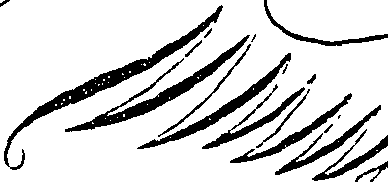 107/107320040000640_5.png