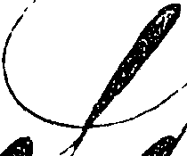 107/107320040000880_3.png