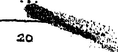 107/107320040001160_0.png