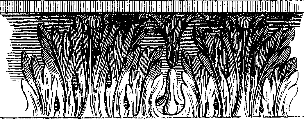 107/107410340000110_1.png