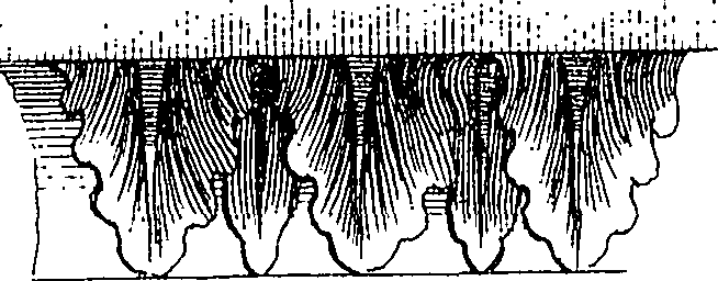 107/107410340000200_0.png