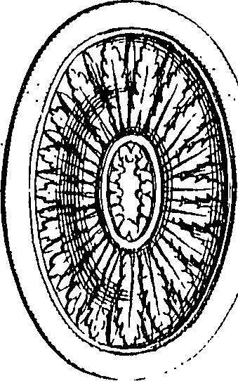 107/107410340000210_0.png