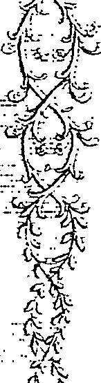 107/107410340000250_1.png