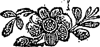 107/107410380000760_0.png