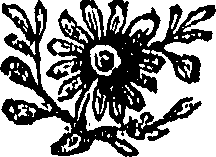 107/107410380000970_0.png