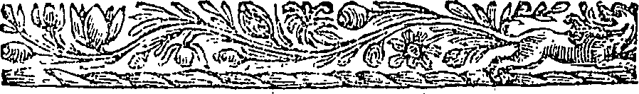 107/107420070000100_1.png