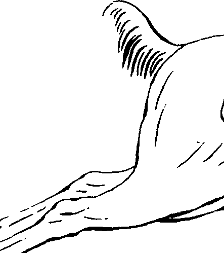 107/107430020001600_0.png