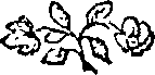 107/107500060000040_0.png