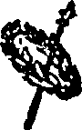 107/107500060001040_0.png