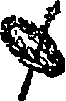 107/107500060001050_0.png