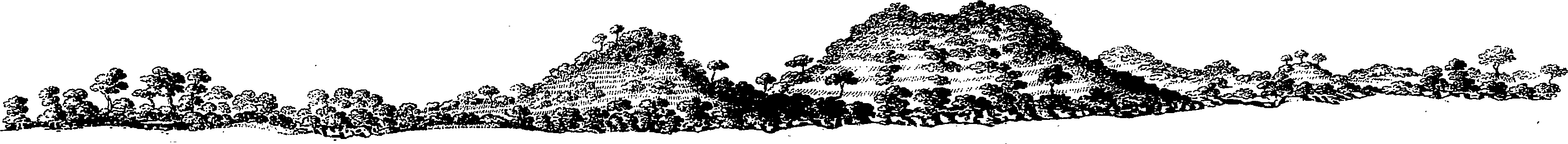 107/107570030000040_0.png