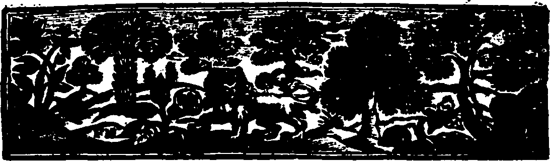107/107650030000020_1.png