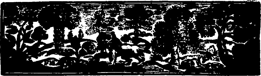 107/107650030000250_1.png