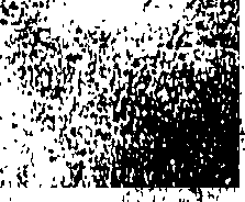 107/107670060000010_0.png