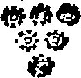 107/107700030002930_0.png