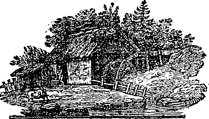 107/107750020103170_0.png