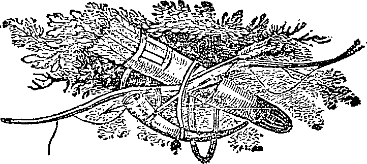 107/107750020103880_0.png