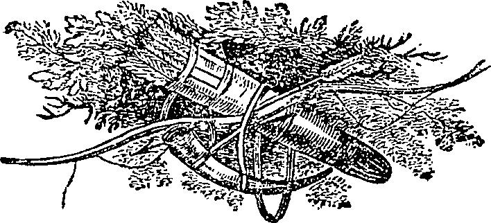 107/107750020200250_0.png