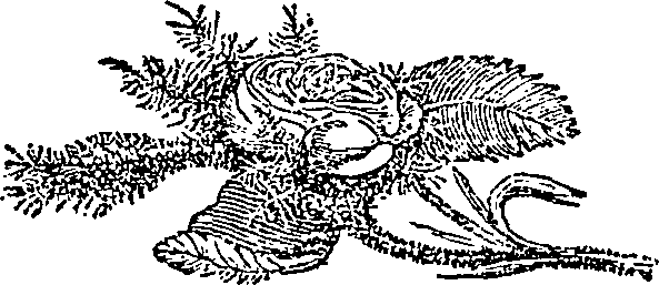 107/107750020203100_0.png
