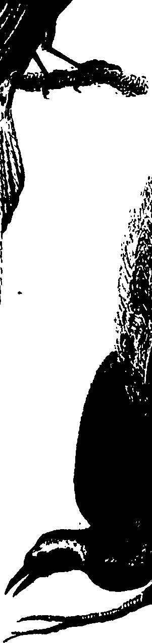 107/107770010202250_0.png