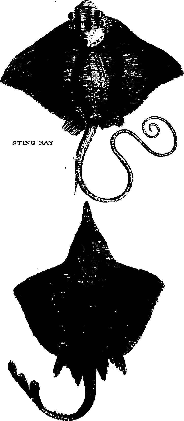 107/107770010301210_0.png