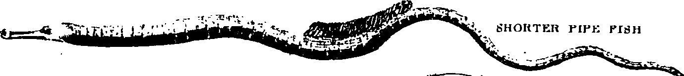 107/107770010301650_1.png