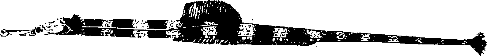 107/107770010301650_2.png
