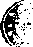 107/107770010302310_0.png