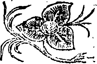107/107800070001630_0.png