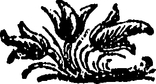 107/107800070001770_0.png