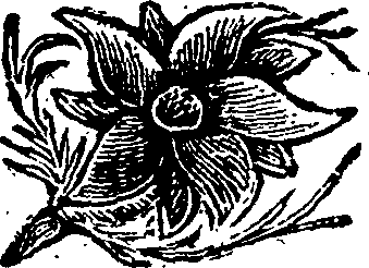 107/107820050000010_0.png