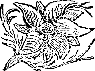 107/107820050000310_1.png