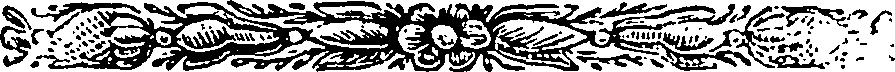 107/107860040100970_1.png