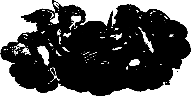 108/108010160000040_0.png