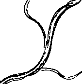 108/108110100002090_1.png