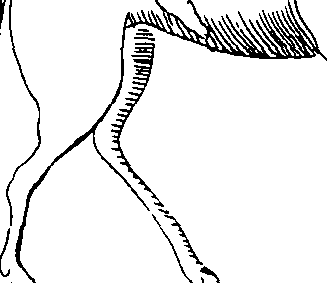108/108110100002690_1.png