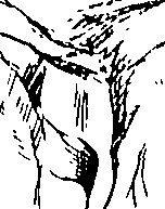 108/108110100002760_0.png